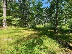 2495 FLINTON ROAD Addington Highlands (Addington Highlands), ON K0H 1P0