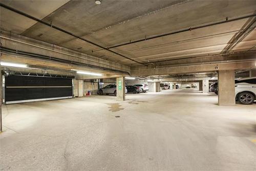 2204-84 Snow St, Winnipeg, MB - Indoor Photo Showing Garage