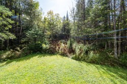 Courtyard - 