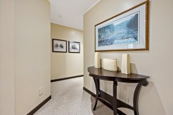 Hall d'entrée/Vestibule - 
