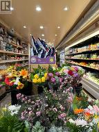 733 PAPE AVENUE Toronto, ON M4K 3S8