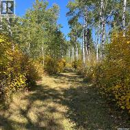 Wildlife Acres Mervin Rm No.499, SK S0M 1J0