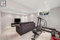 Basement Recreation Room - 