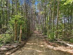292 HARTIN ROAD Addington Highlands (Addington Highlands), ON K0H 2G0