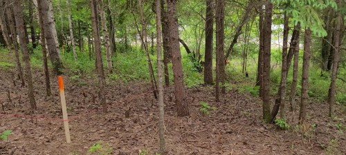 Terre/Terrain - 51E Avenue, Saint-Côme, QC 