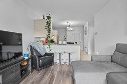 Salon - 