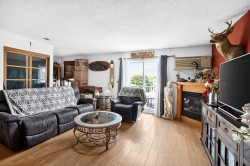 Salon - 