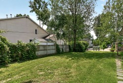 Garden - 