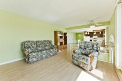 Salon - 