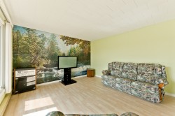 Salon - 