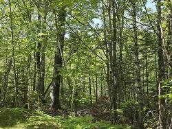 Lot 174A Spruce Drive Hemford, NS B0R 1E0
