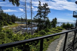#204-596 Marine Dr Ucluelet, BC V0R 3A0