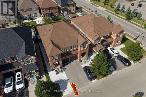 BASEMENT - 8 TUSTIN ROAD , Brampton, Ontario L6P 3K9 3
