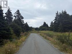 7-15 Connors Lane Pouch Cove, NL A0A 3L0