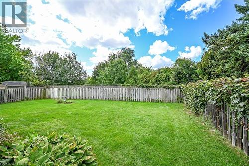 Expansive backyard featuring a lush lawn, mature perimeter trees, and a full privacy fence with climbing greenery - 1434 Dewbourne Crescent, Burlington, ON 