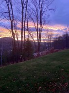 View - 