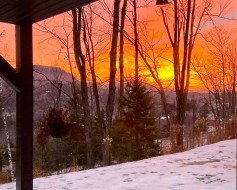 View - 