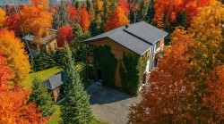 Aerial View - 