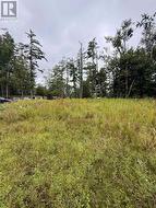 1004 CHIPPAWA AVENUE Gravenhurst (Muskoka (S)), ON P1P 1R1