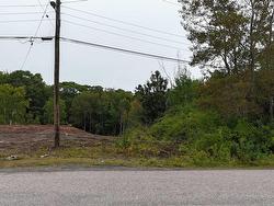 Lot 16 Pleasant Street Conway, NS B0V 1A0