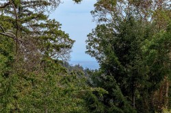 3330 Ravenwood Rd Colwood, BC V9C 2X4