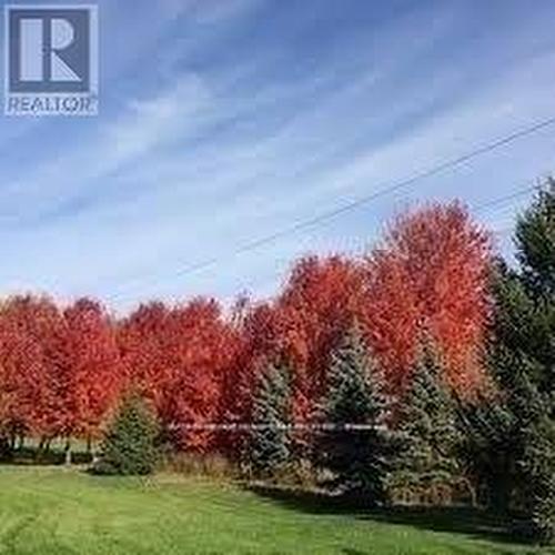 1142 Haig Boulevard, Mississauga, ON 