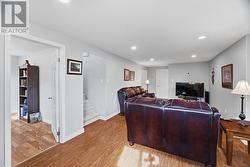 Lower level family room - 