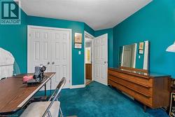 Wall-to-wall carpeting and painted walls - 