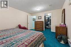 Wall-to-wall carpeting, overhead lighting, and built-in closet organization system - 
