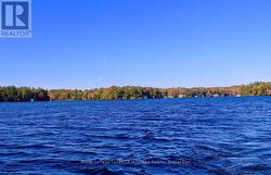 12 SEVERN RIVER SHORE Muskoka Lakes (Wood (Muskoka Lakes)), ON P0C 1M0