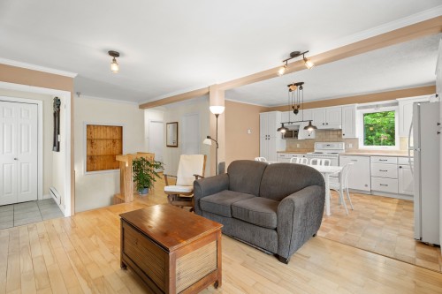 Salon - 1470 7E Rang, Val-David, QC 