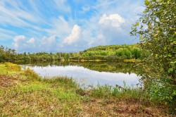 Vue sur l'eau - 
