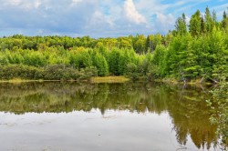 Bord de l'eau - 