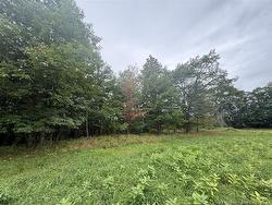 26-2 Route 105 Lower Queensbury, NB E6L 1G7