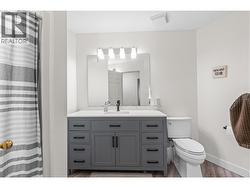 Lower Level Bathroom - 