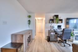 Salon - 