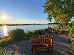 Bord de l'eau - 