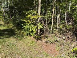 0 PINE ROAD Magnetawan, ON P0A 1A0