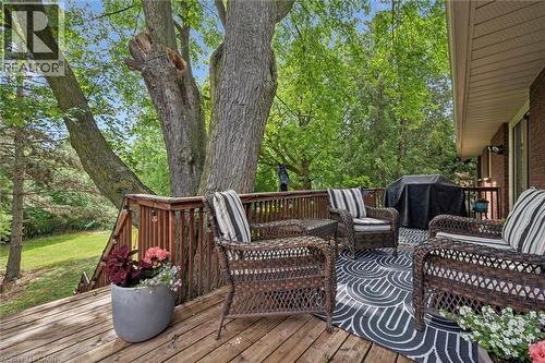 Spacious wood deck featuring a wooden railing, string lights, and mature tree canopy - 135 Bridge Street W, Waterloo, ON 