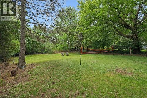 Expansive grassy yard surrounded by mature trees, featuring a natural slope and a clear blue sky - 135 Bridge Street W, Waterloo, ON 
