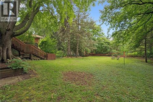 Expansive backyard featuring a large grassy area, mature trees, and a multi-level wood deck with stairs - 135 Bridge Street W, Waterloo, ON 
