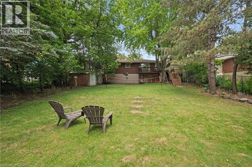 Spacious backyard featuring a lush green lawn, mature trees providing natural screening, and a raised deck with exterior stairs - 135 Bridge Street W, Waterloo, ON 