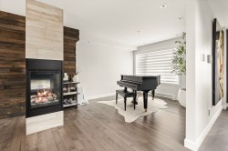Salon - 