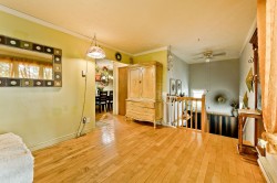 Salon - 