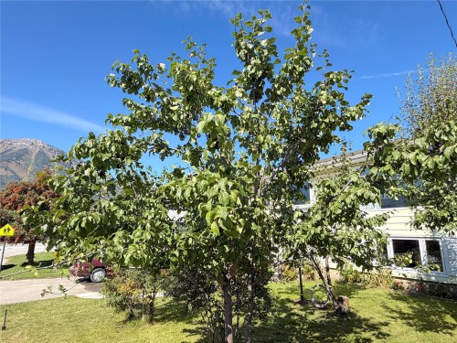 166 14Th Street, Fernie, BC 