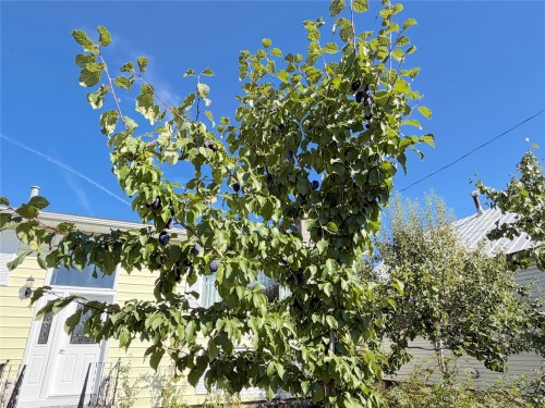 166 14Th Street, Fernie, BC 