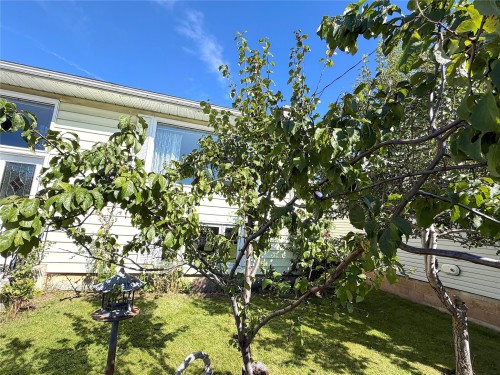 166 14Th Street, Fernie, BC 