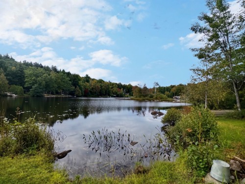 Vue sur l'eau - 