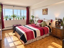 Chambre à coucher principale - 