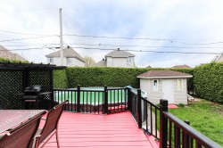 Courtyard - 